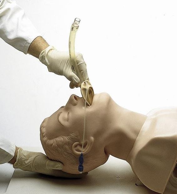 ba8e83faa21196a09f05a7bc24ef7d7a AIRWAY MANAGEMENT TRAINER