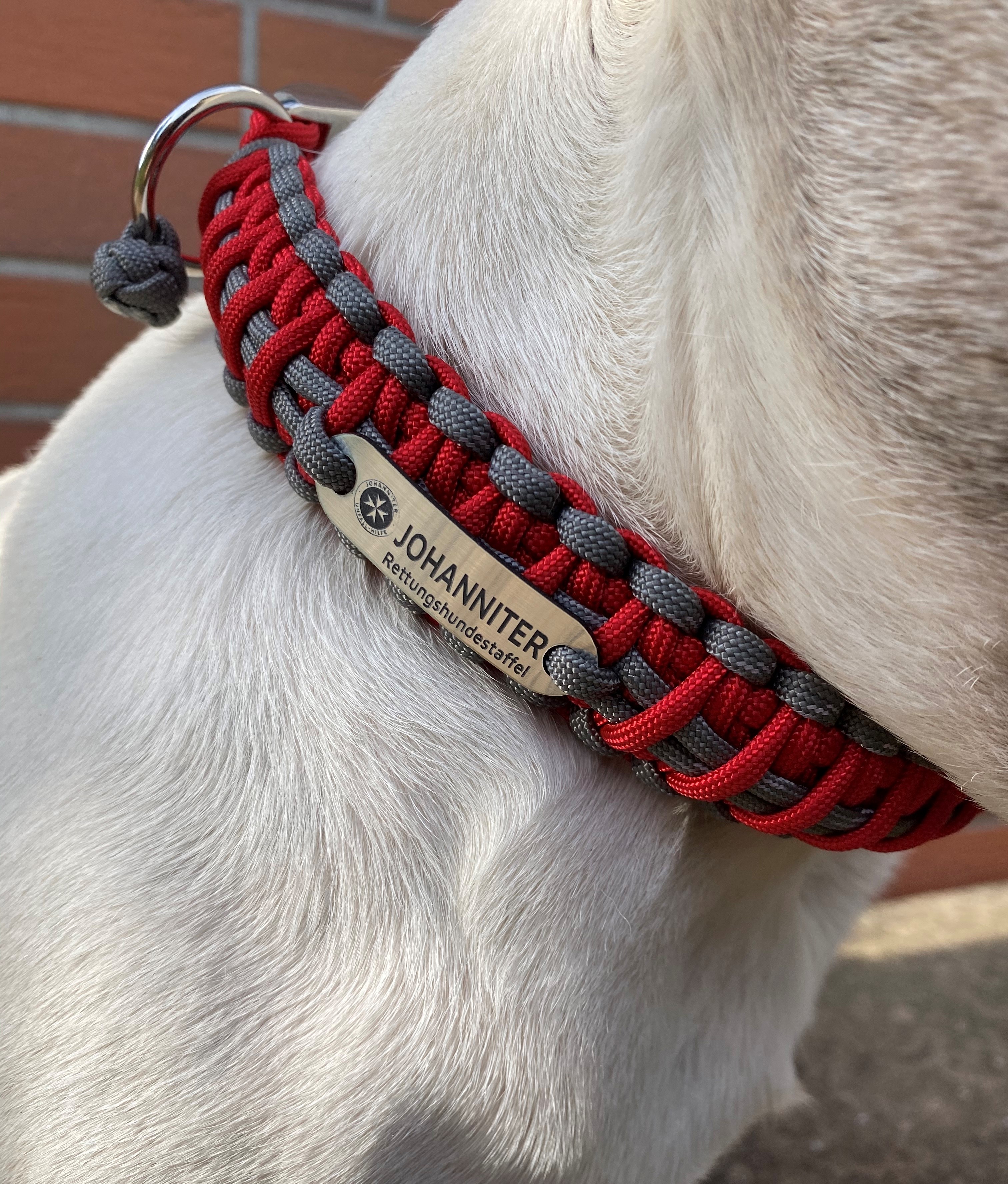 halsband2