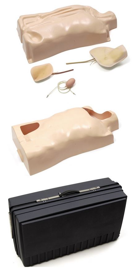f248c4d3fed5422dfee0b318693cc744 IV Trainer Torso, Basis